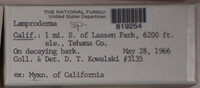 Image Associated With the Occurence